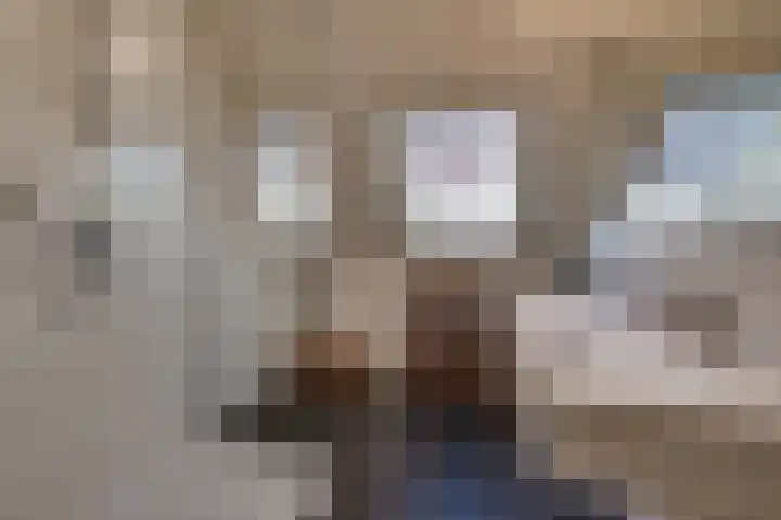 Vlasoever 32 Maasdam thumbnail 47