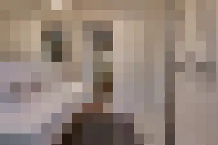 Vlasoever 32 Maasdam thumbnail 48