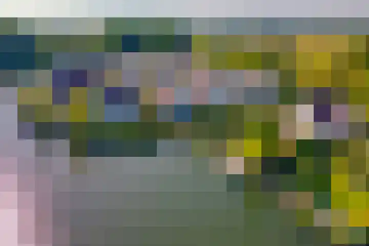 Vlasoever 32 Maasdam thumbnail 5