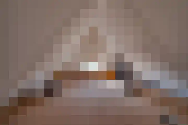 Vlasoever 32 Maasdam thumbnail 50