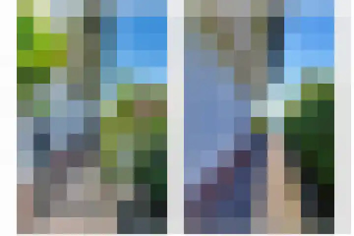 Vlasoever 32 Maasdam thumbnail 52