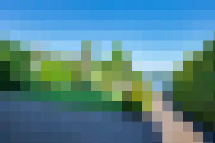Vlasoever 32 Maasdam thumbnail 53