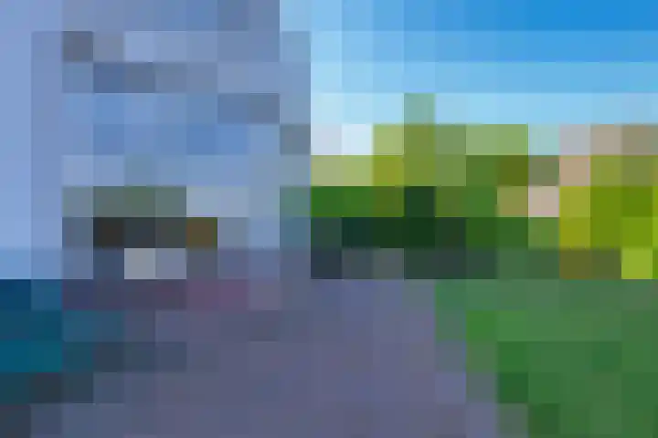Vlasoever 32 Maasdam thumbnail 54