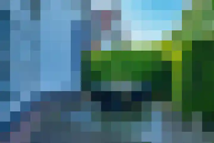 Vlasoever 32 Maasdam thumbnail 55