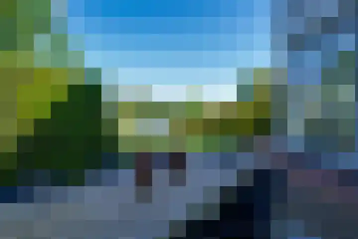 Vlasoever 32 Maasdam thumbnail 56