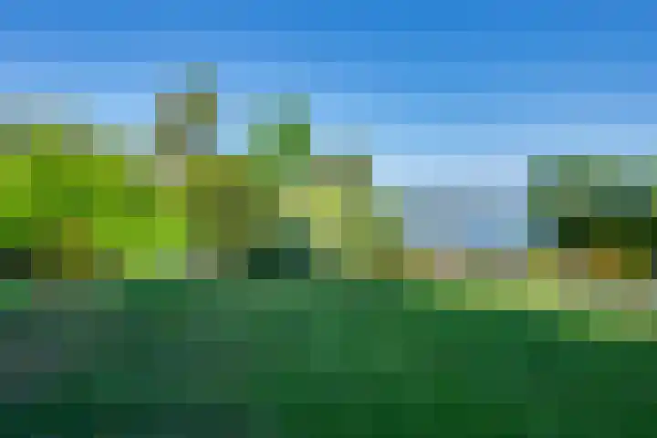 Vlasoever 32 Maasdam thumbnail 57