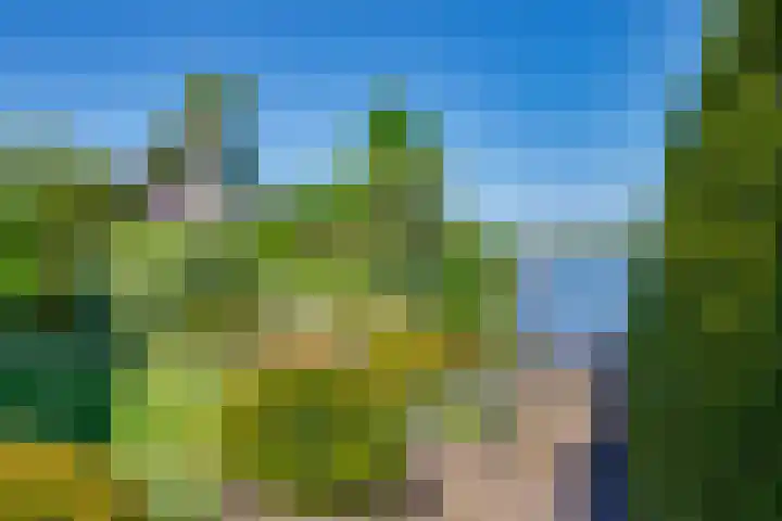 Vlasoever 32 Maasdam thumbnail 58