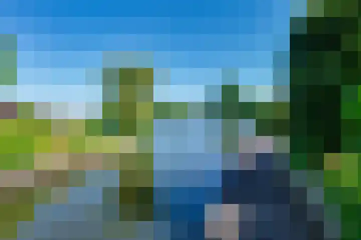 Vlasoever 32 Maasdam thumbnail 59