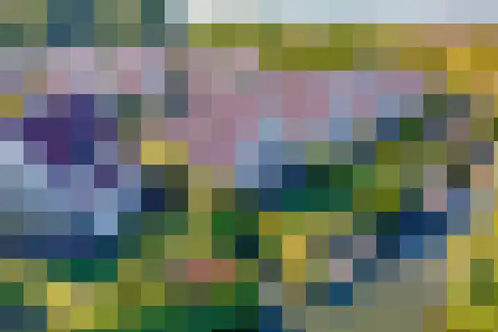 Vlasoever 32 Maasdam thumbnail 6