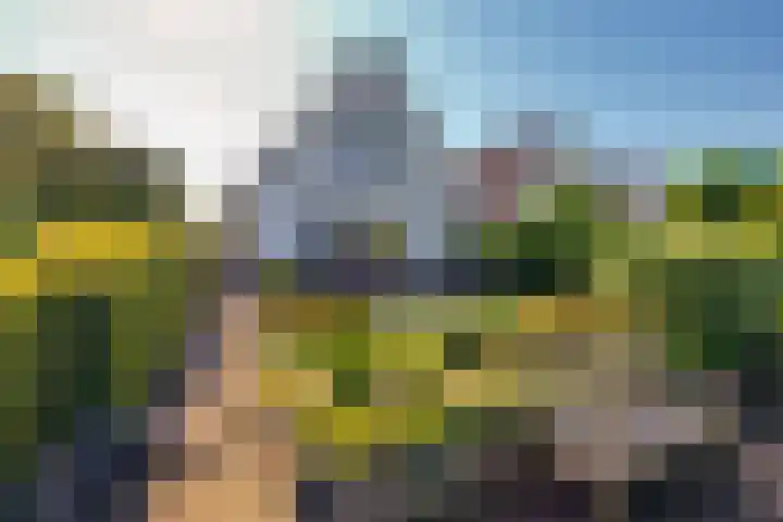 Vlasoever 32 Maasdam thumbnail 60