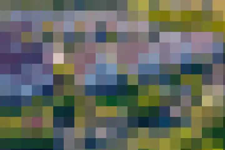 Vlasoever 32 Maasdam thumbnail 7