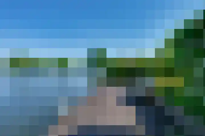 Vlasoever 32 Maasdam thumbnail 8