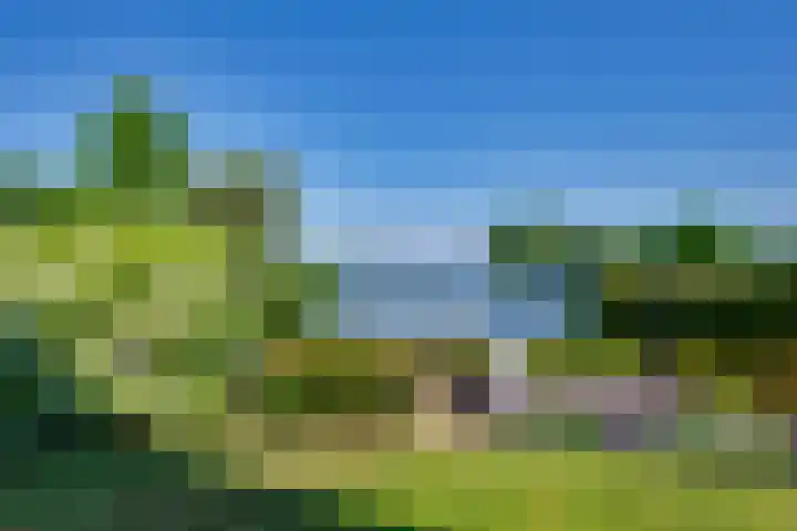 Vlasoever 32 Maasdam thumbnail 9