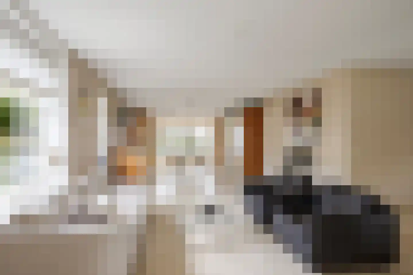 Vlasoever 40 Maasdam thumbnail 11