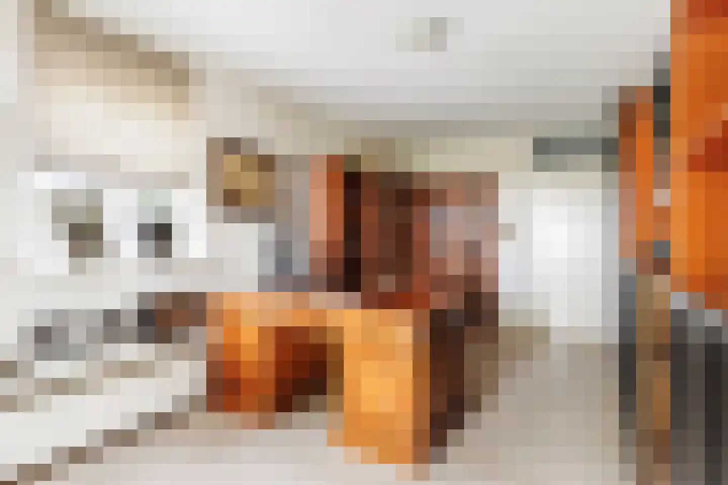 Vlasoever 40 Maasdam thumbnail 18