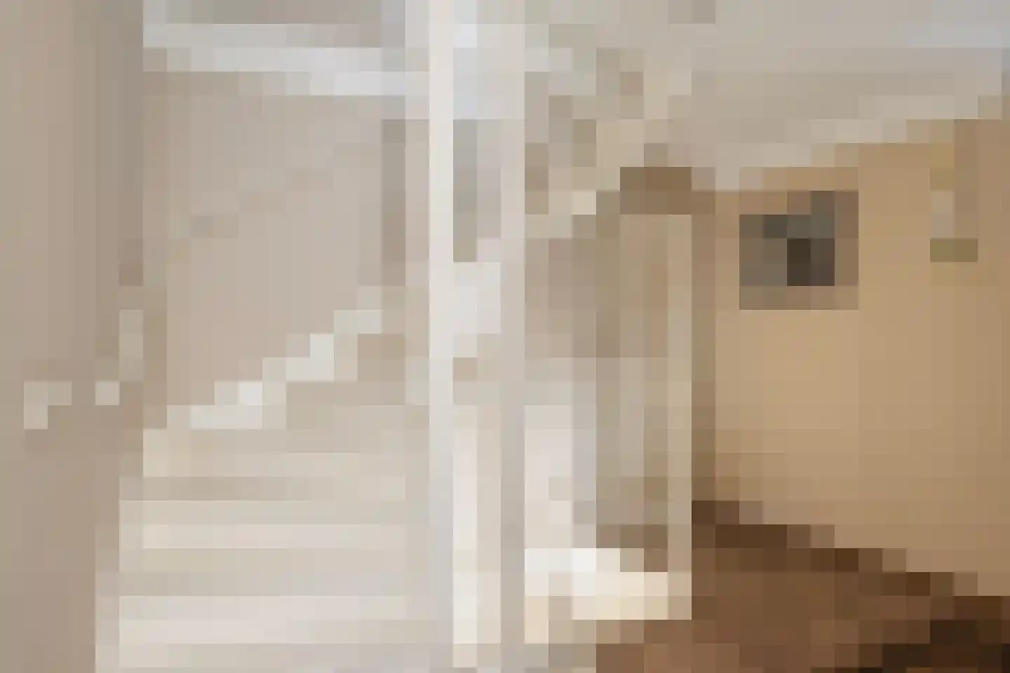 Vlasoever 40 Maasdam thumbnail 19