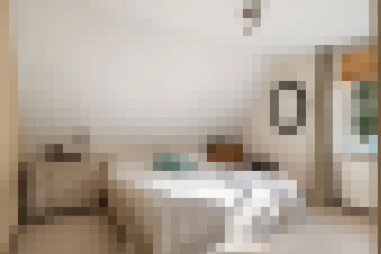Vlasoever 40 Maasdam thumbnail 20
