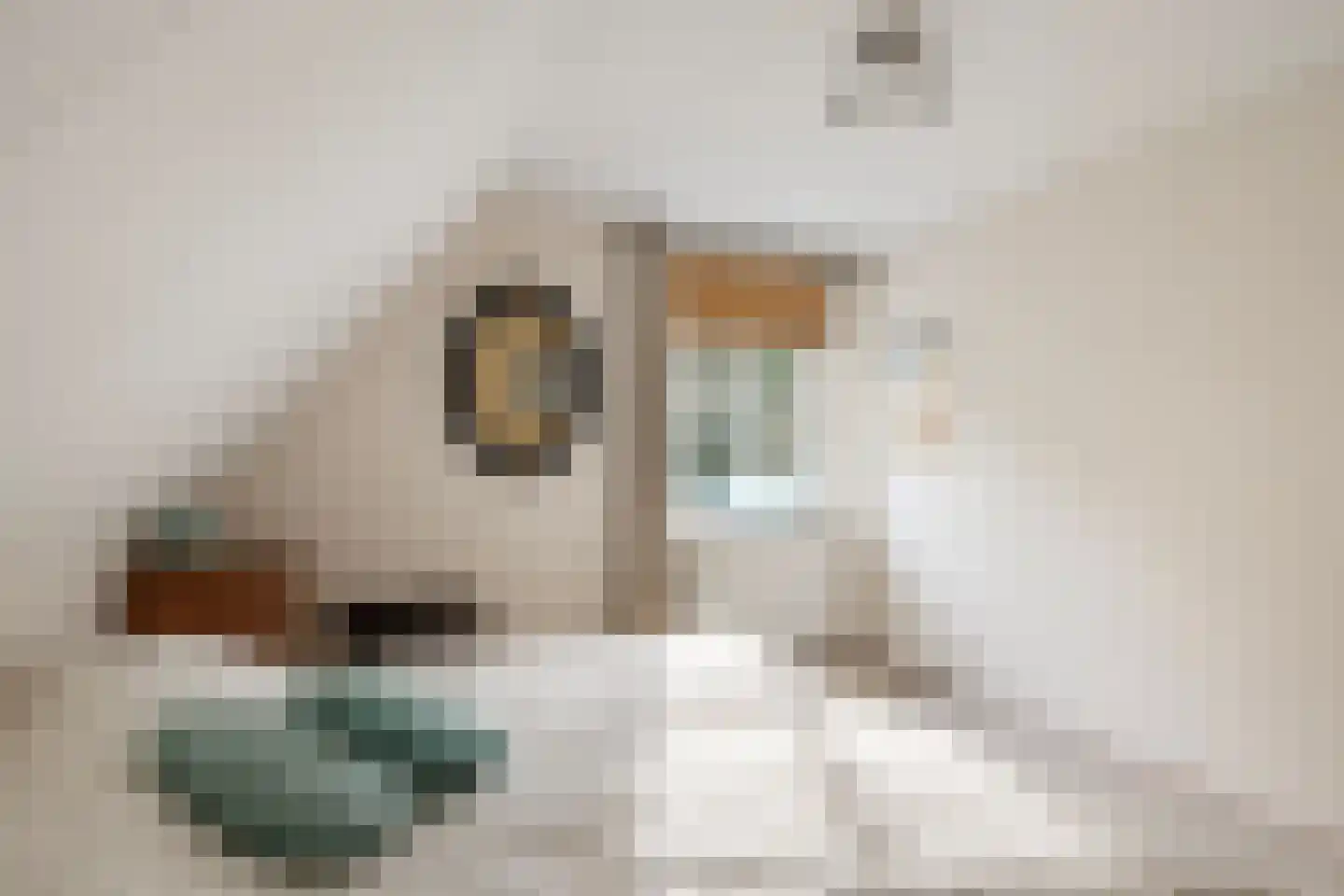 Vlasoever 40 Maasdam thumbnail 21