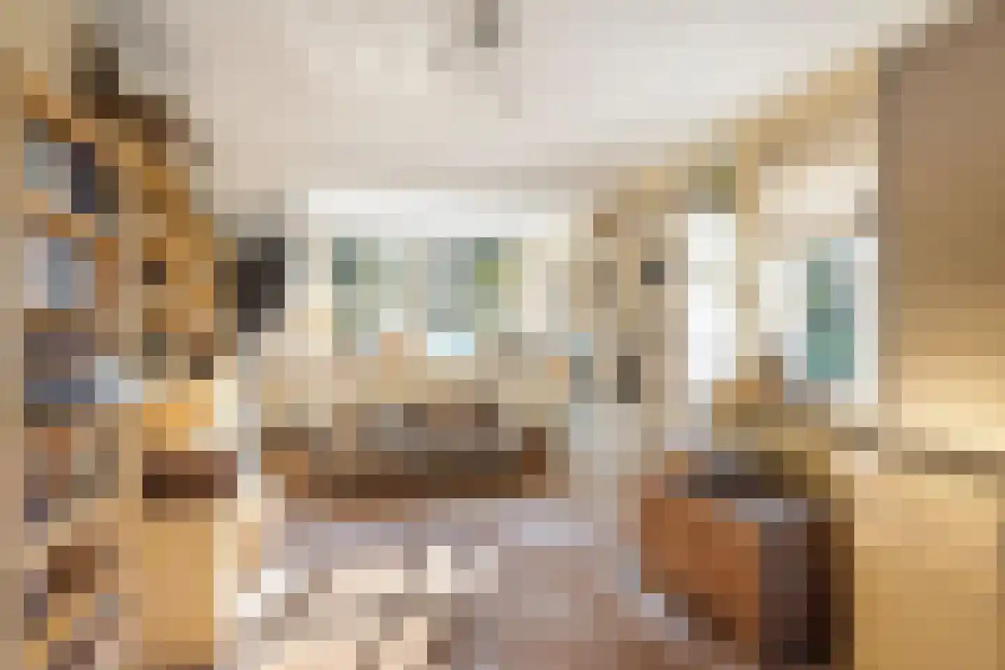 Vlasoever 40 Maasdam thumbnail 24