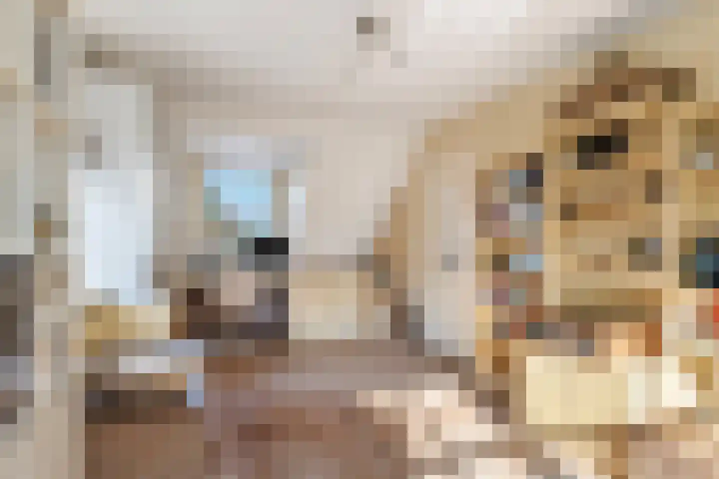 Vlasoever 40 Maasdam thumbnail 25