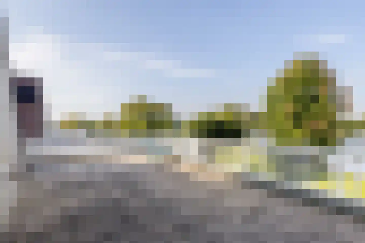 Vlasoever 40 Maasdam thumbnail 30