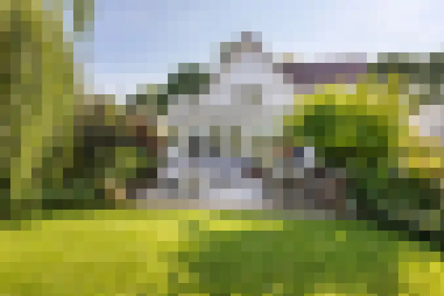 Vlasoever 40 Maasdam thumbnail 31