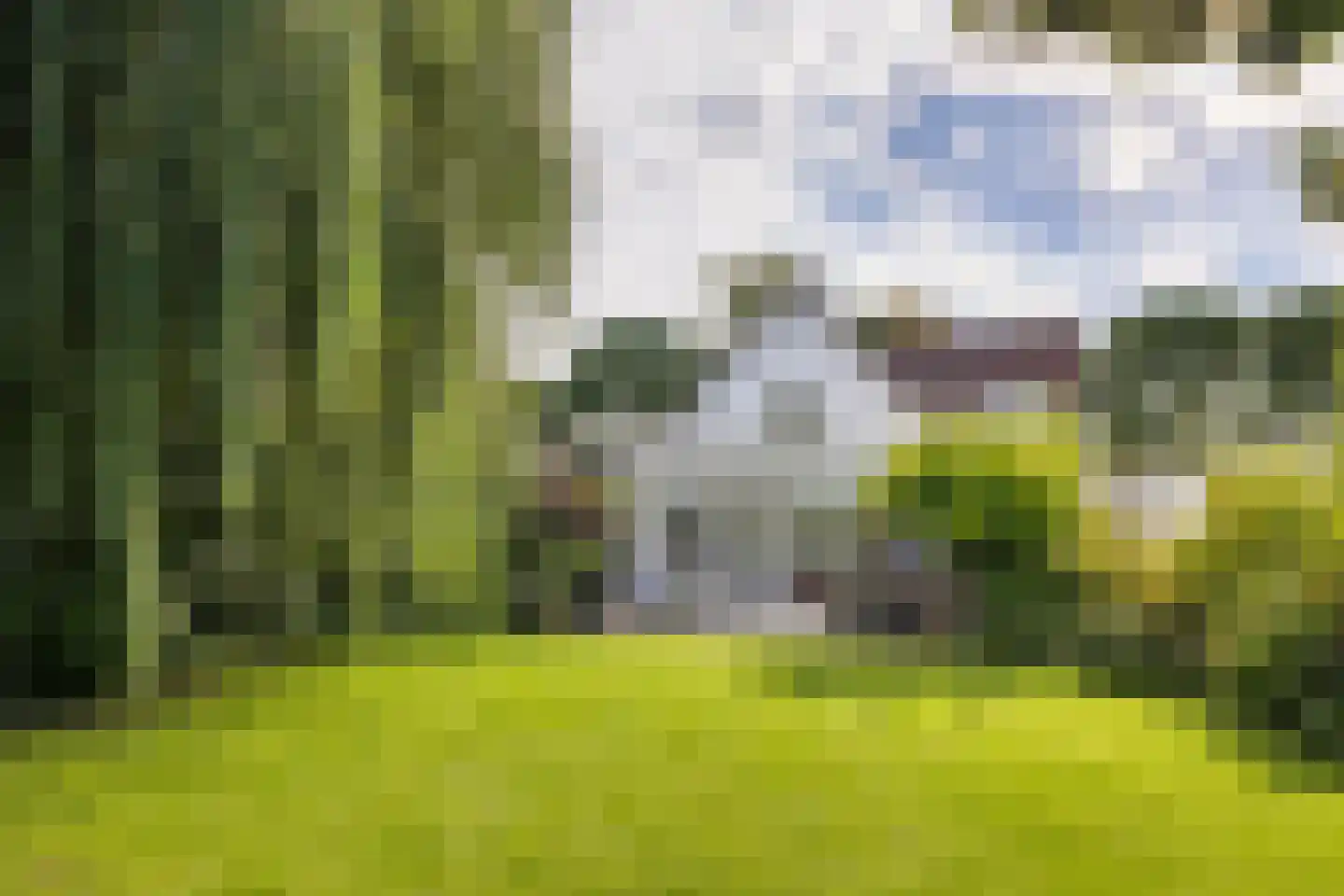 Vlasoever 40 Maasdam thumbnail 32