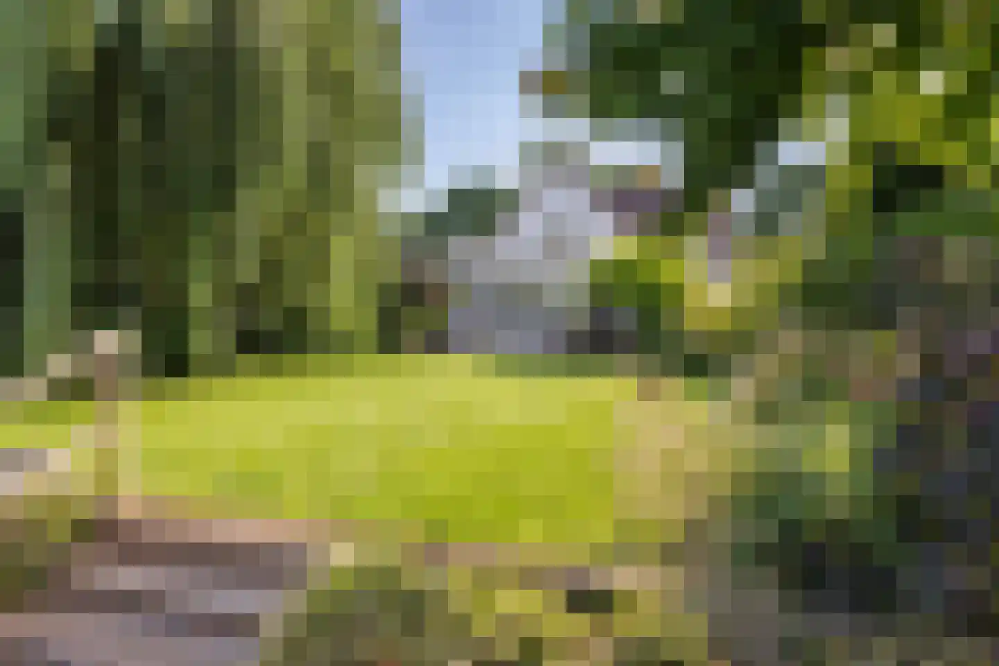 Vlasoever 40 Maasdam thumbnail 33