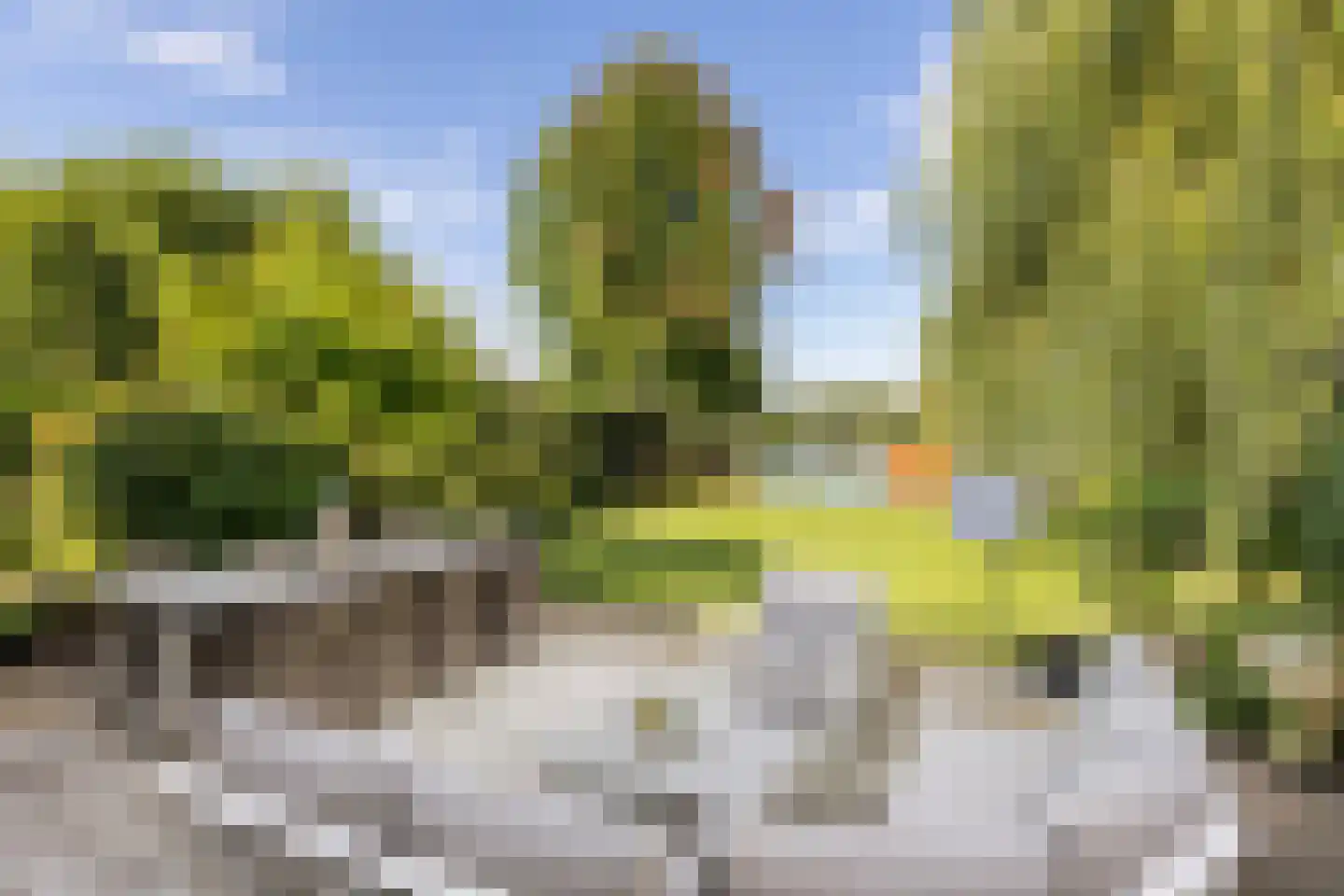 Vlasoever 40 Maasdam thumbnail 36