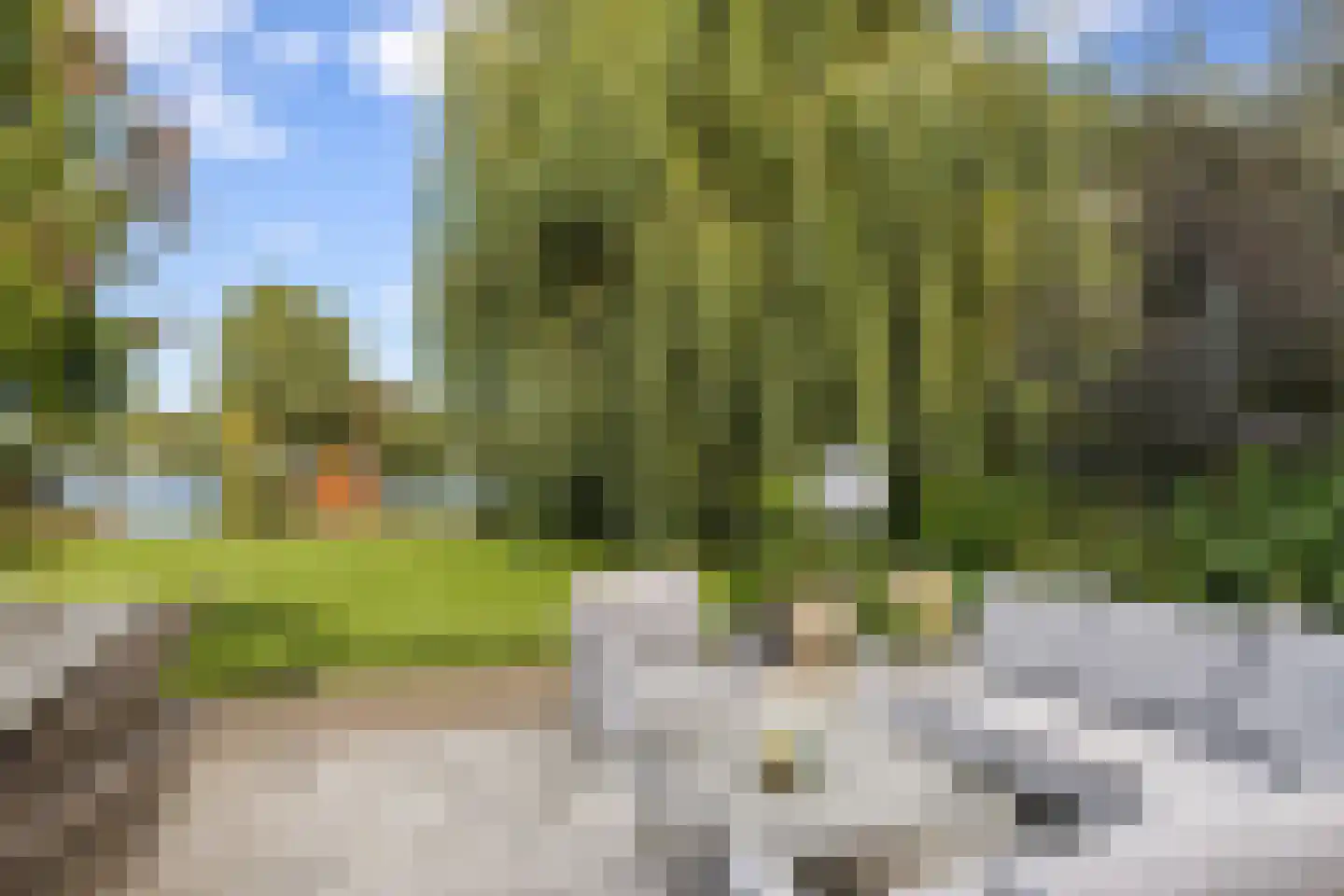 Vlasoever 40 Maasdam thumbnail 37
