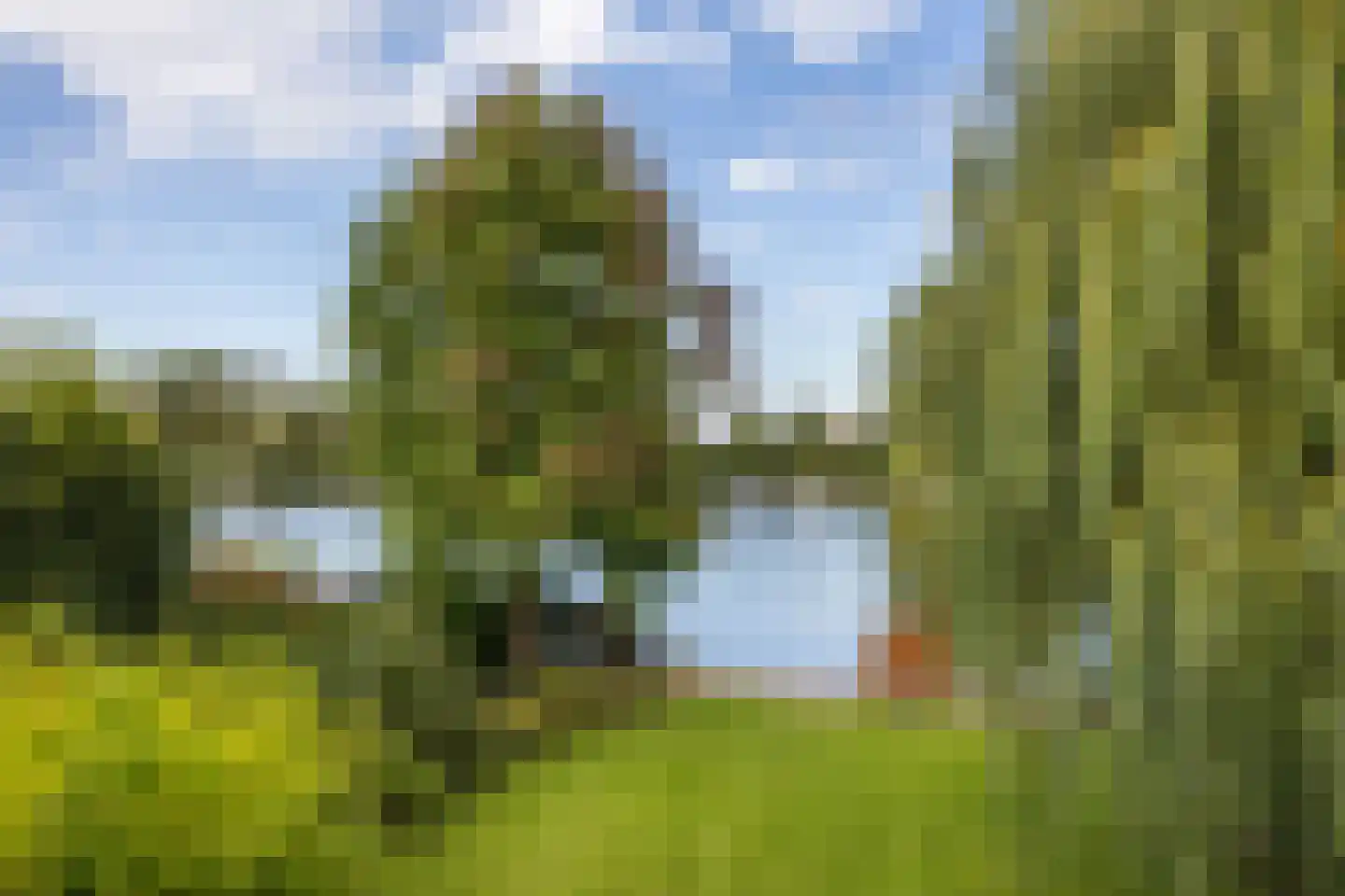 Vlasoever 40 Maasdam thumbnail 38