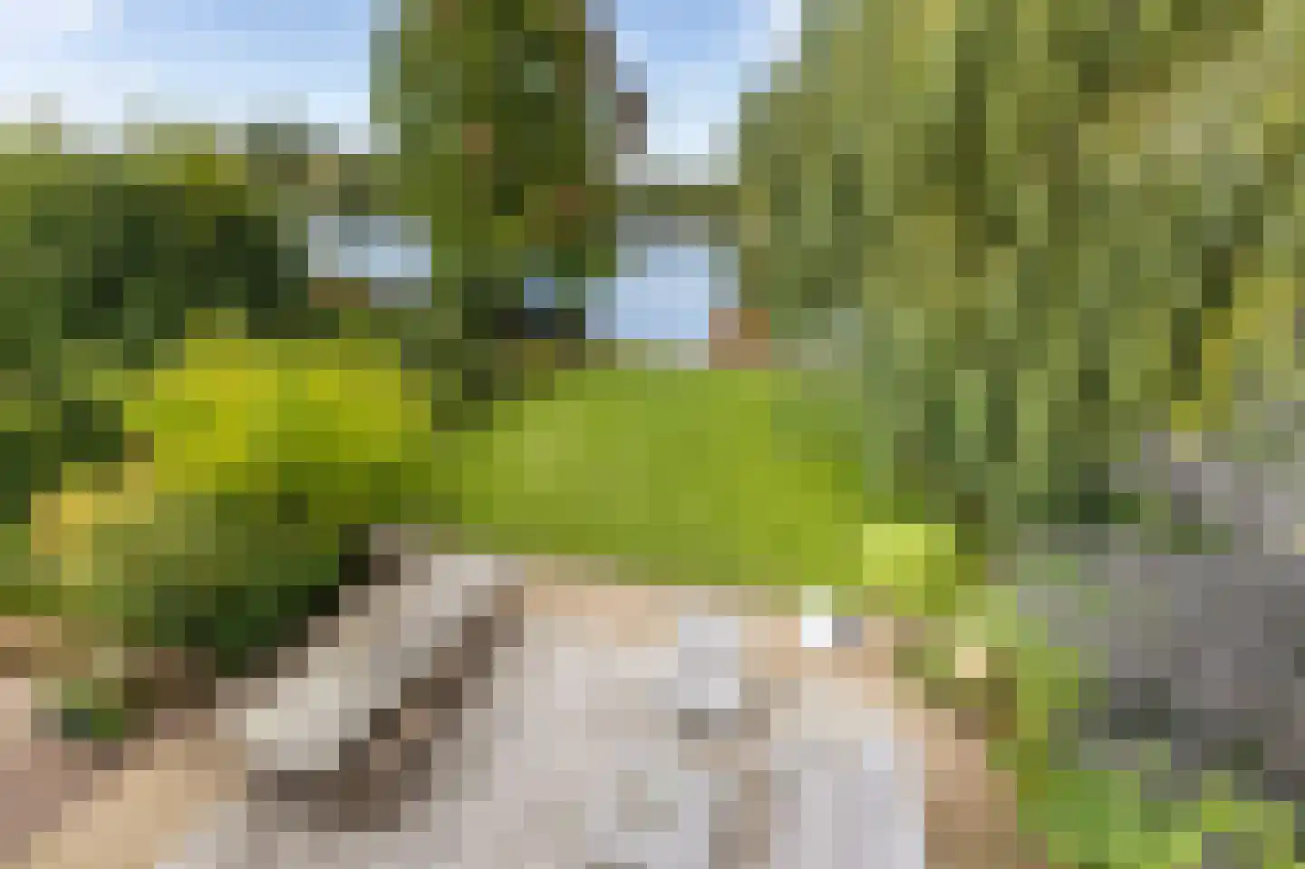 Vlasoever 40 Maasdam thumbnail 4