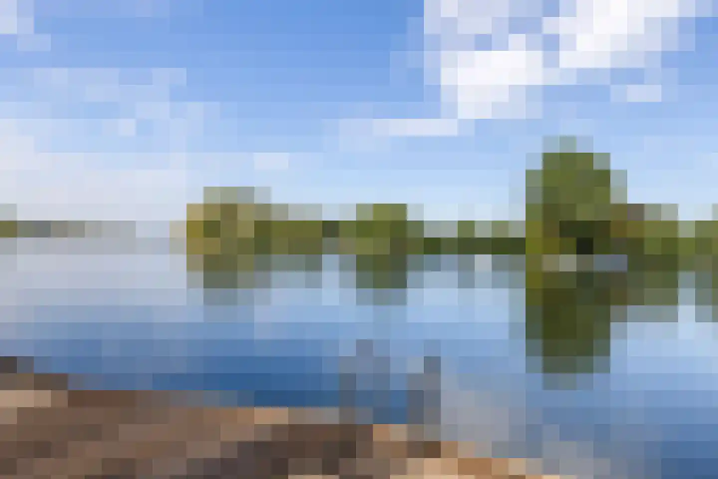 Vlasoever 40 Maasdam thumbnail 40