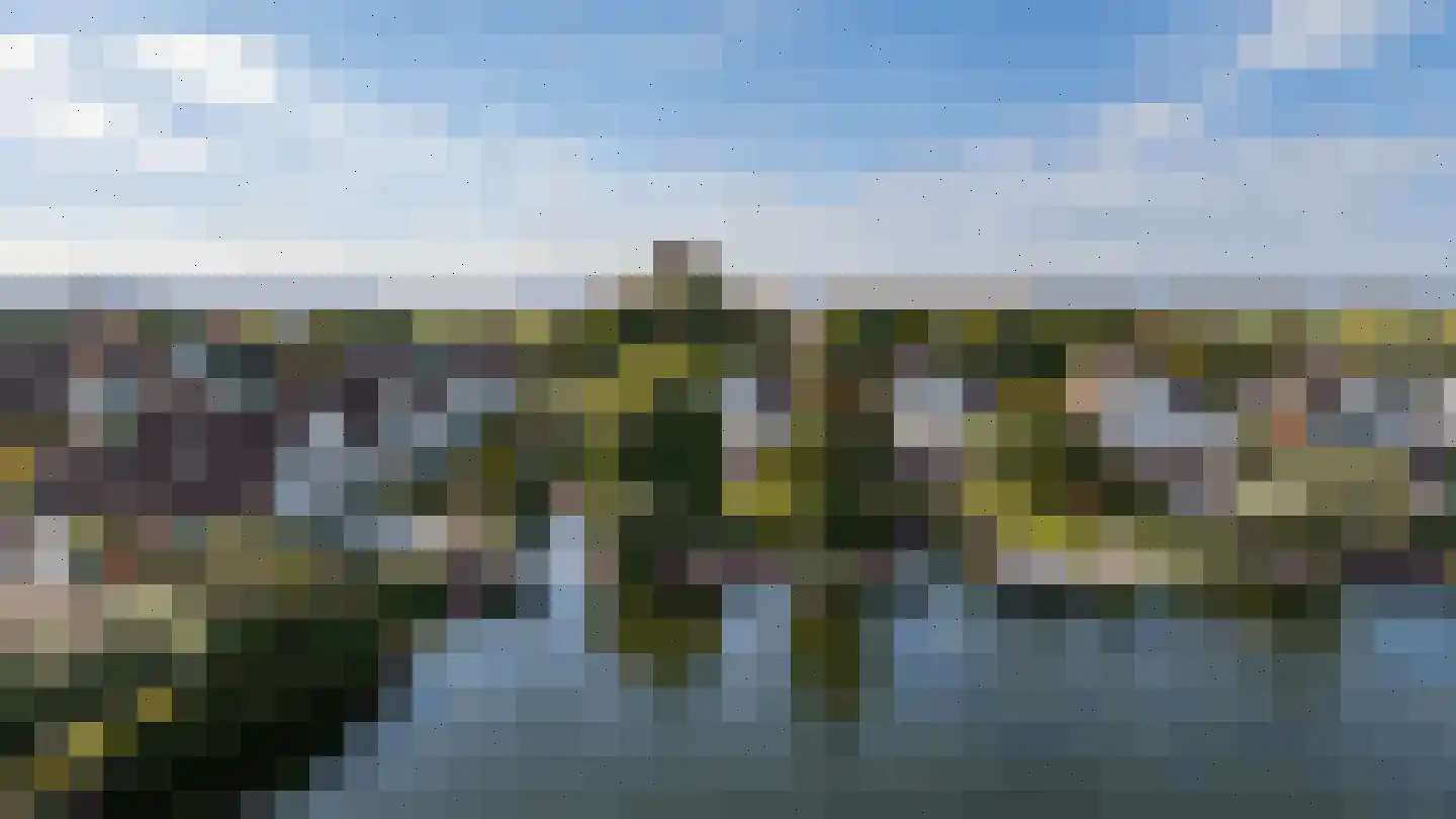 Vlasoever 40 Maasdam thumbnail 41