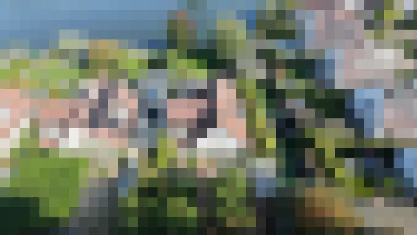 Vlasoever 40 Maasdam thumbnail 42
