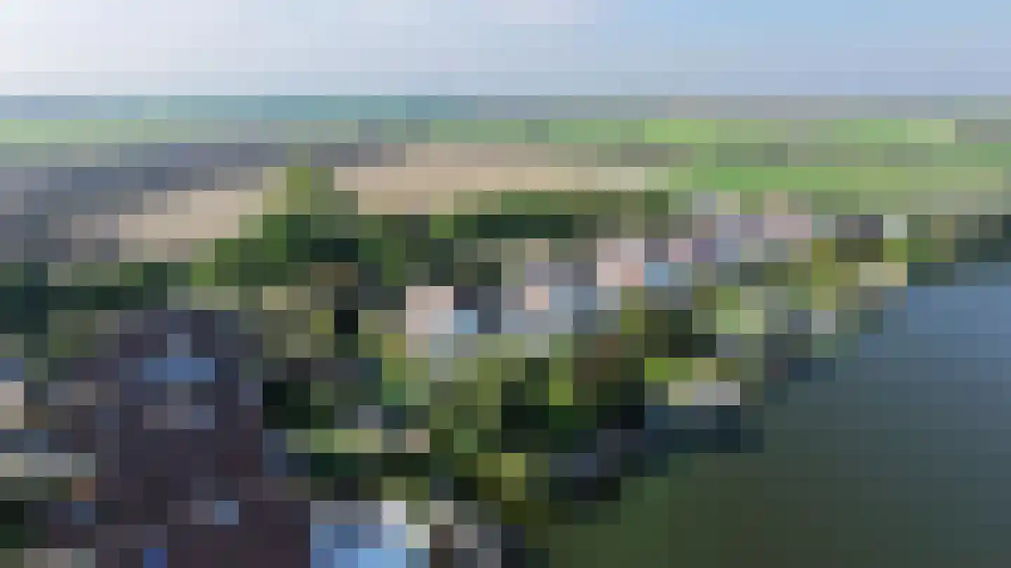 Vlasoever 40 Maasdam thumbnail 43