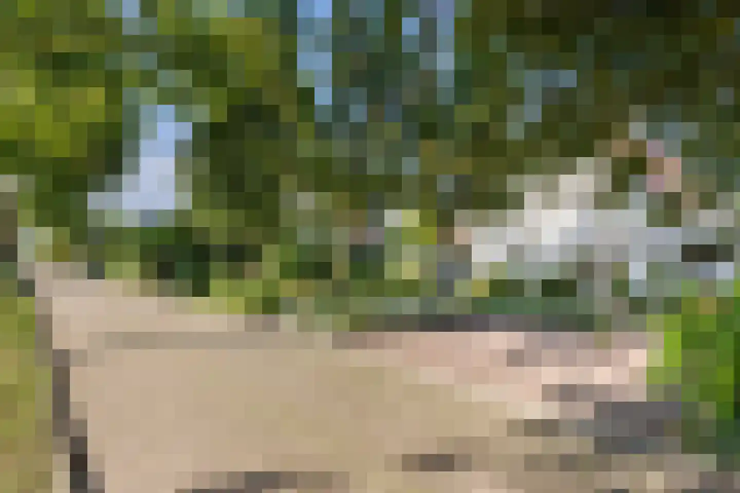 Vlasoever 40 Maasdam thumbnail 44