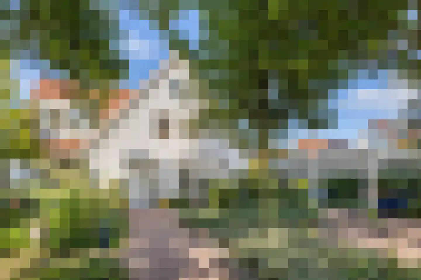 Vlasoever 40 Maasdam thumbnail 45