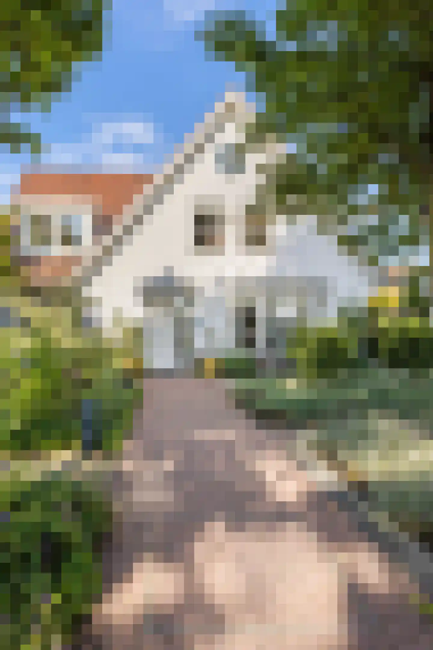 Vlasoever 40 Maasdam thumbnail 46