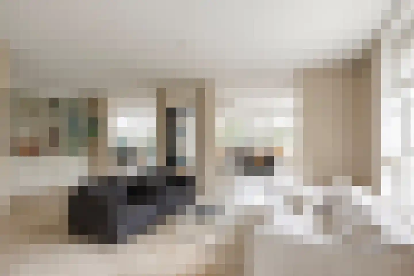 Vlasoever 40 Maasdam thumbnail 6