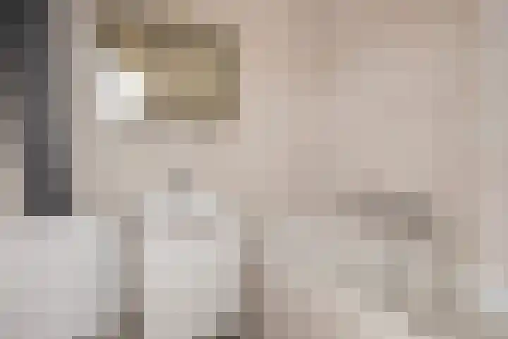 Vlaspad 1 A Stedum thumbnail 14