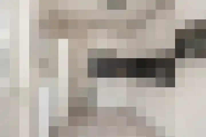 Vlaspad 1 A Stedum thumbnail 20