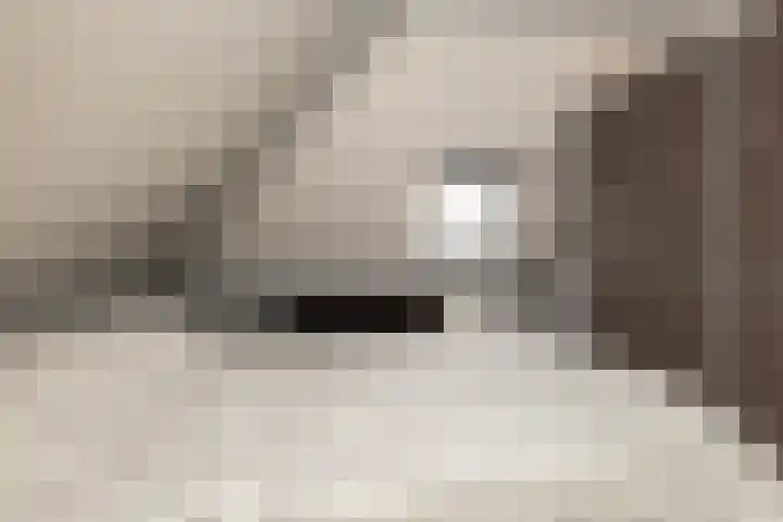 Vlaspad 1 A Stedum thumbnail 26