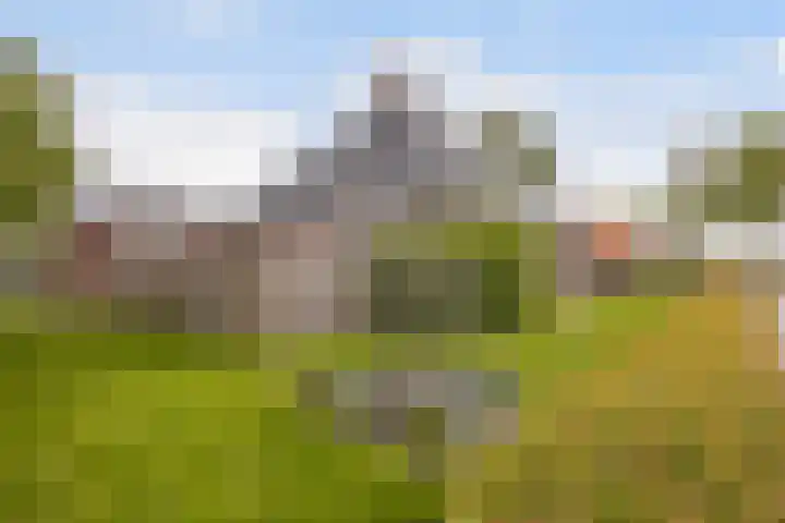 Vlaspad 1 A Stedum thumbnail 35