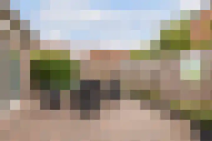 Vlaspad 1 A Stedum thumbnail 36