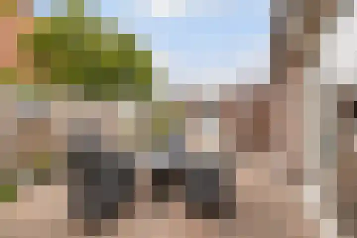 Vlaspad 1 A Stedum thumbnail 37