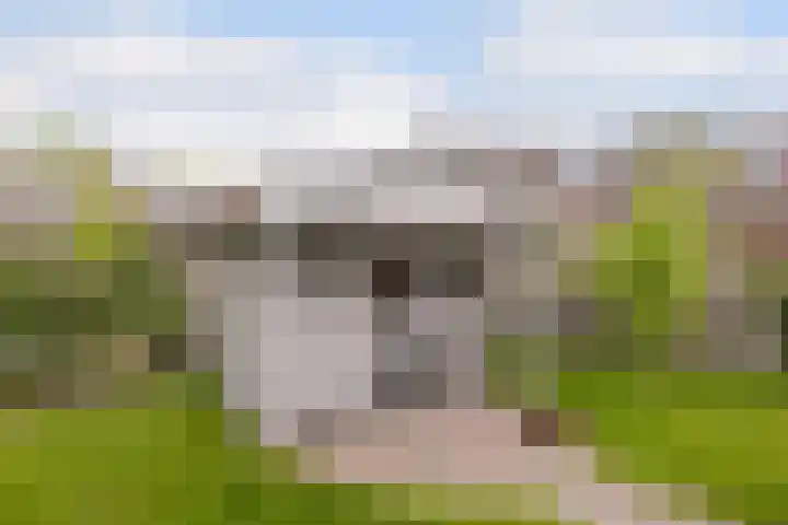 Vlaspad 1 A Stedum thumbnail 38