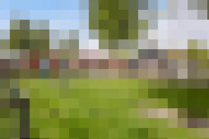 Vlaspad 1 A Stedum thumbnail 39