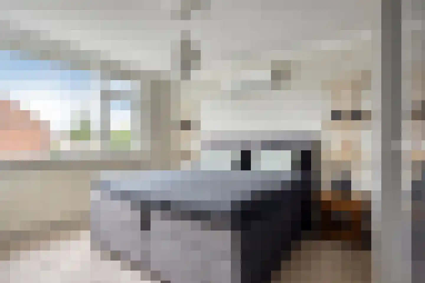 Vlasroot 46 Zeeland thumbnail 23