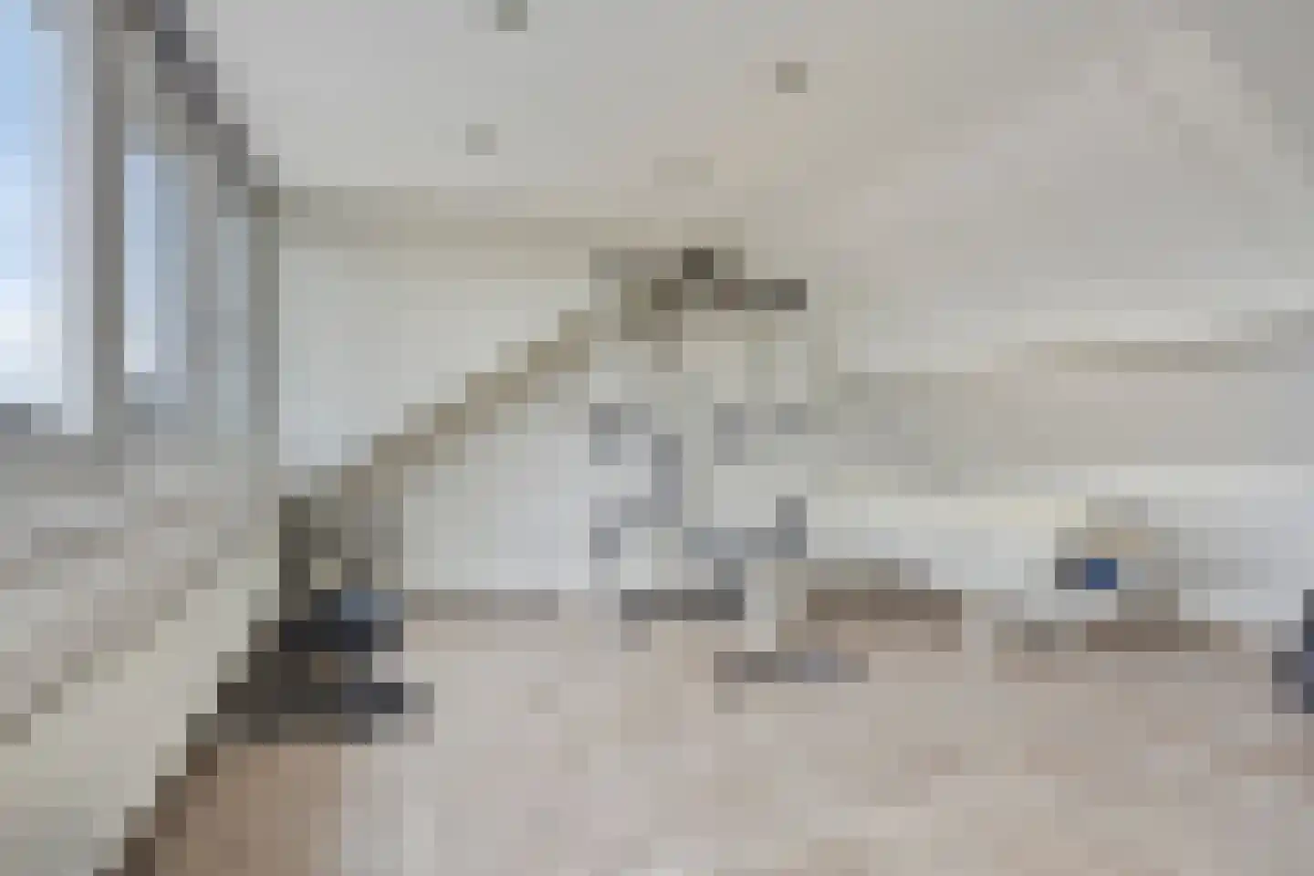 Vlasroot 46 Zeeland thumbnail 28